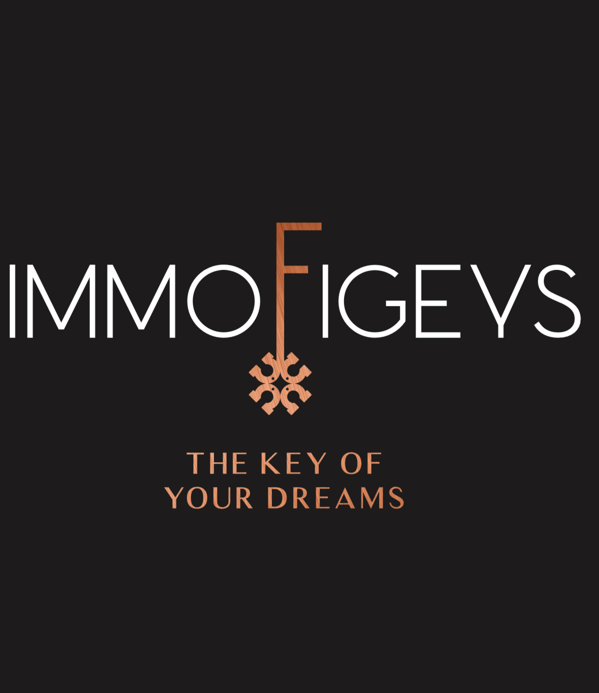 LOGO-IMMOFIGEYS-JPG